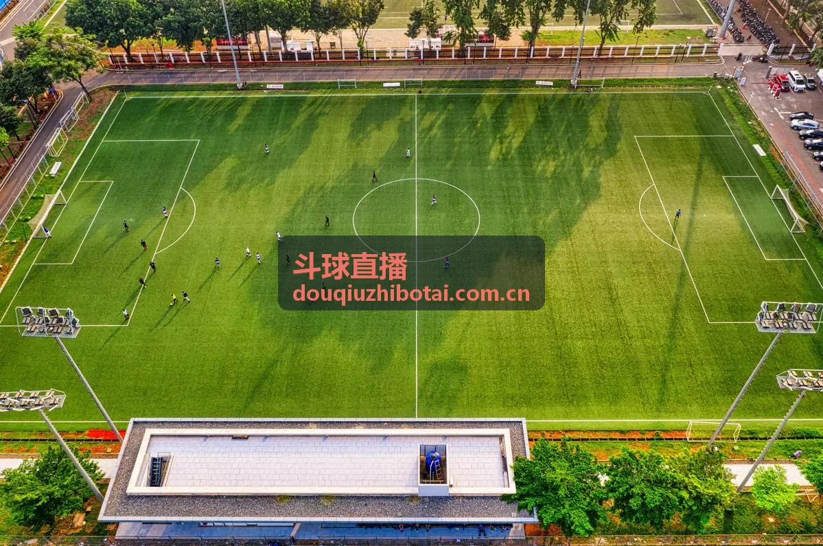 斗球直播球员数据报告